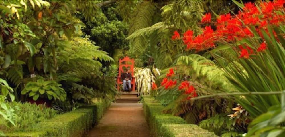 Вилла Camp Estate By Larnach Castle Дьюндин Экстерьер фото